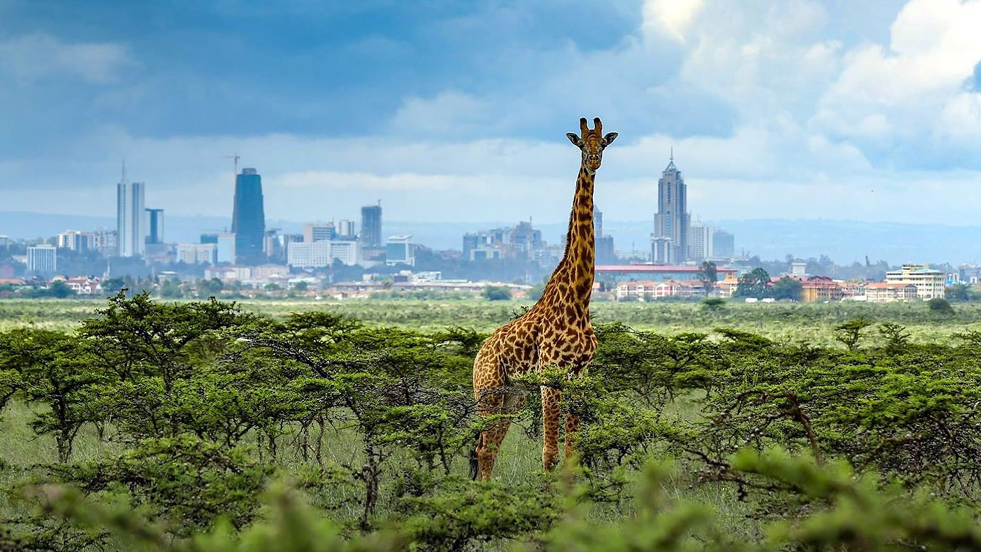 Unleash the Fun: Parent’s Guide to Holiday Activities in Nairobi